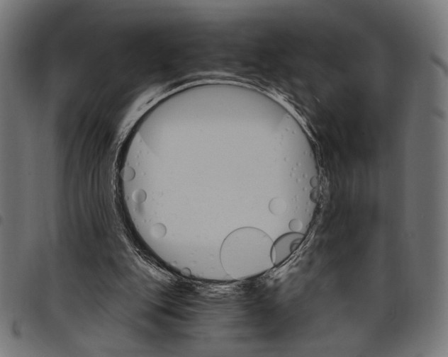 X0000097670151200803281020