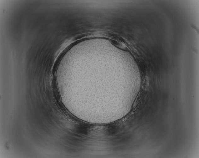 X0000097670152200803281020