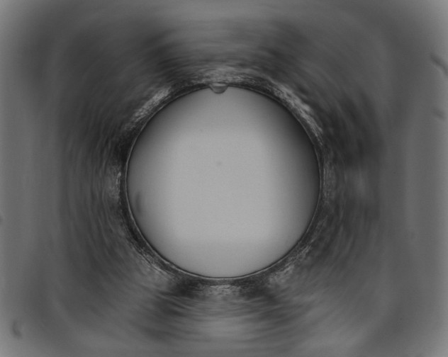 X0000097670153200803281020