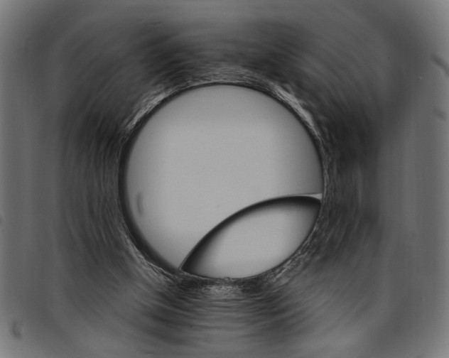X0000097670154200803281020