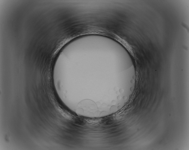 X0000097670155200803281020