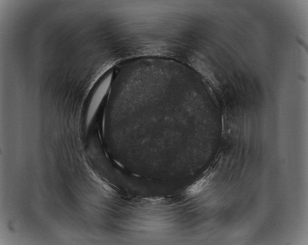 X0000097670156200803281020