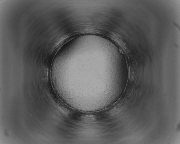 X0000097670157200803281020