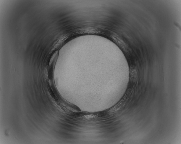 X0000097670158200803281020
