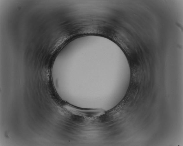 X0000097670160200803281020