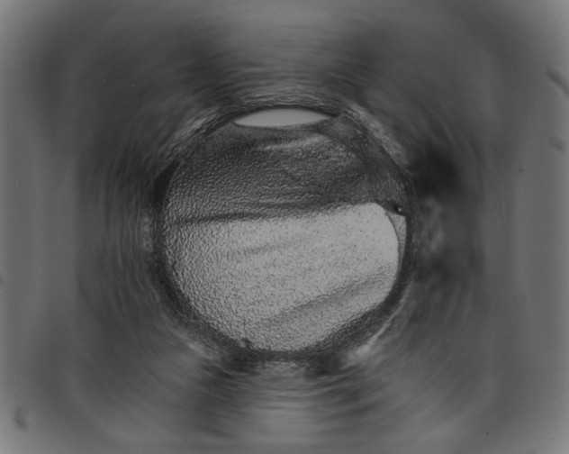 X0000097670161200803281020