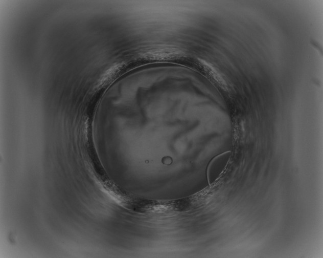 X0000097670163200803281020