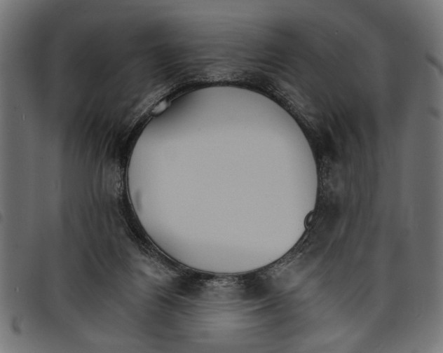 X0000097670164200803281020