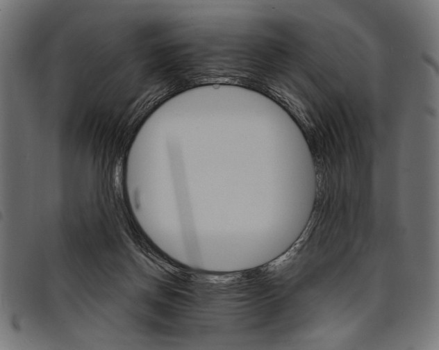 X0000097670166200803281020