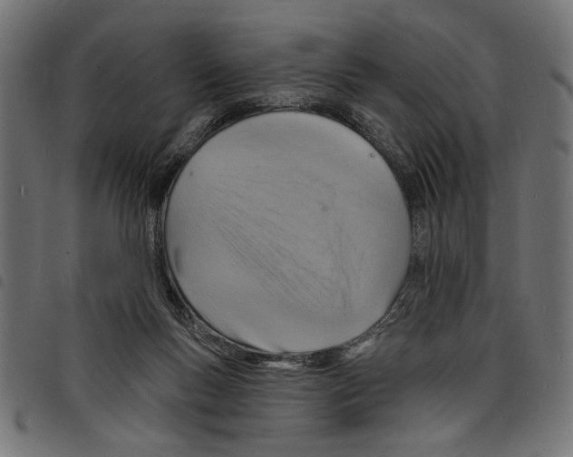 X0000097670167200803281020