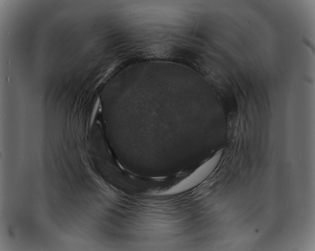 X0000097670168200803281020