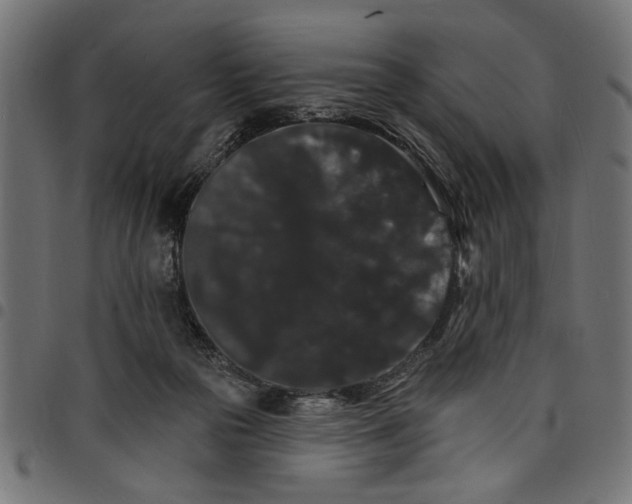 X0000097670169200803281020