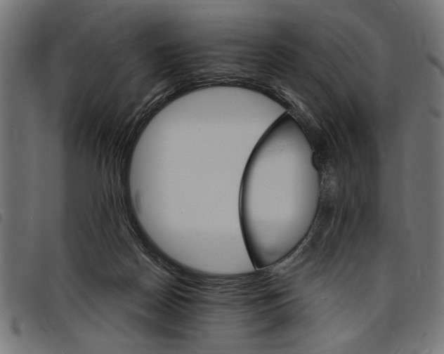 X0000097670170200803281020