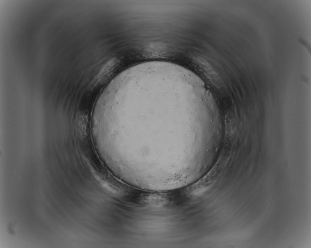 X0000097670171200803281020