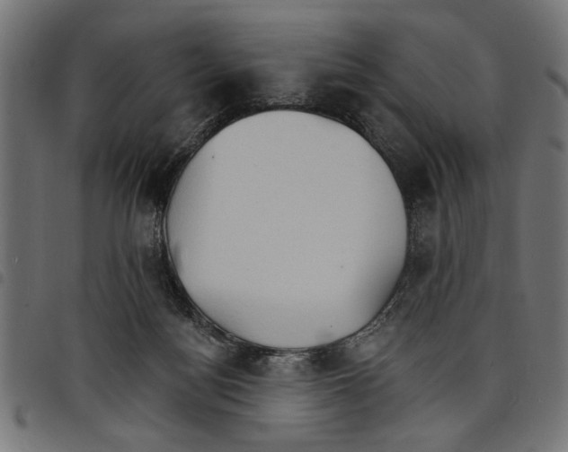 X0000097670172200803281020