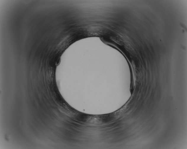 X0000097670174200803281020