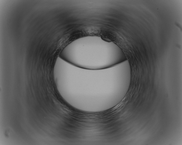 X0000097670176200803281020
