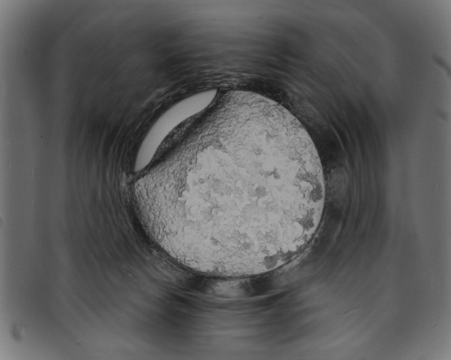 X0000097670178200803281020