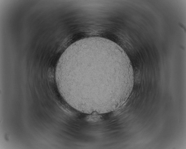 X0000097670179200803281020