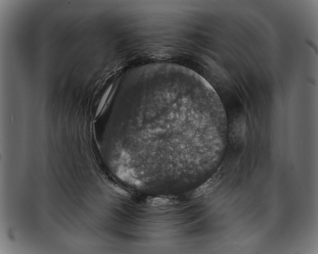 X0000097670180200803281020