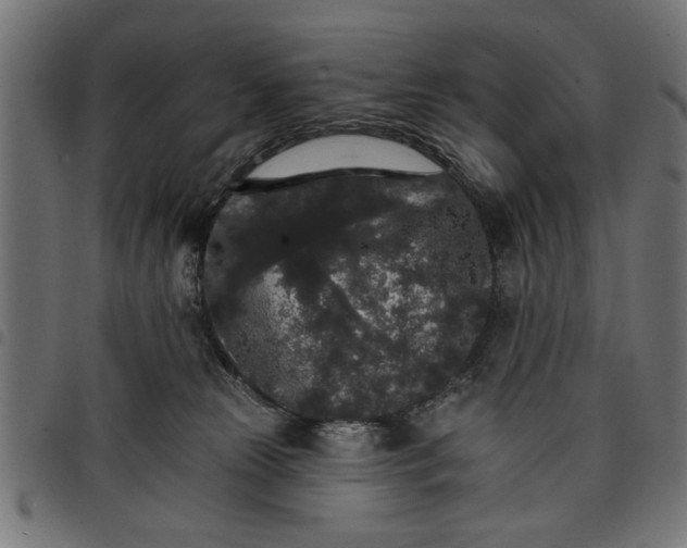 X0000097670181200803281021