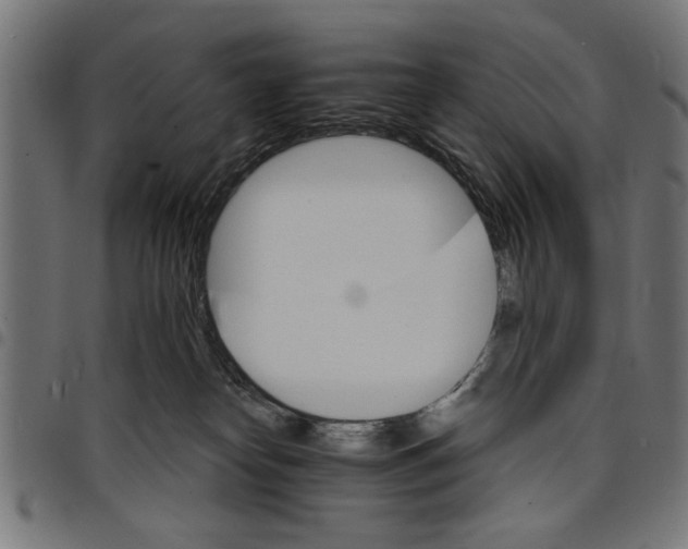 X0000097670182200803281021