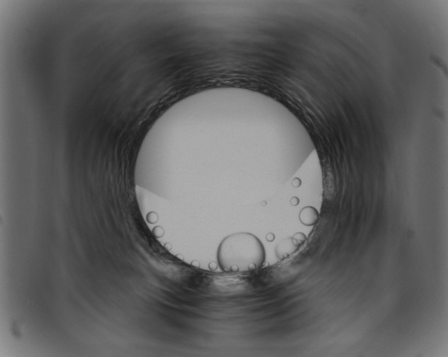 X0000097670183200803281021