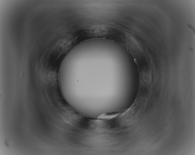 X0000097670184200803281021