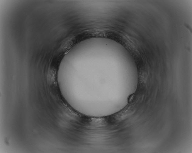 X0000097670185200803281021