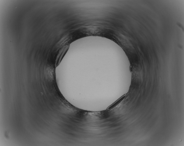 X0000097670188200803281021