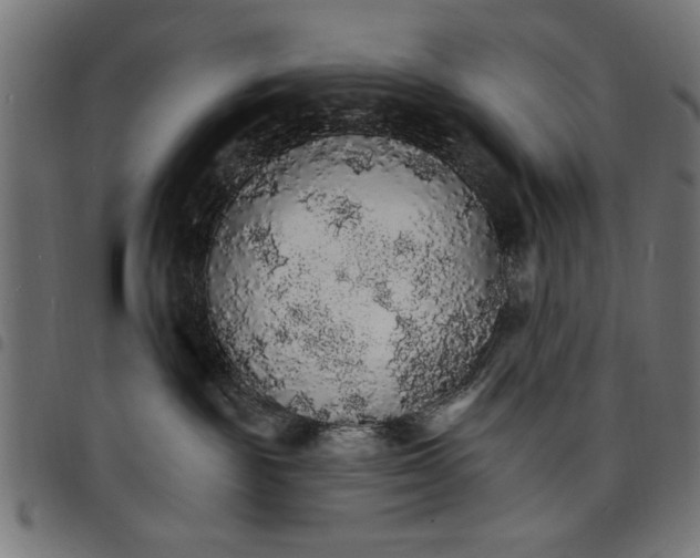 X0000097670189200803281021