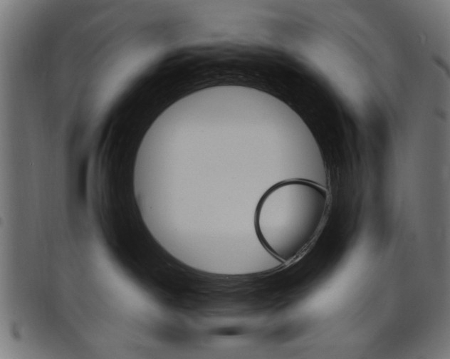 X0000097670190200803281021