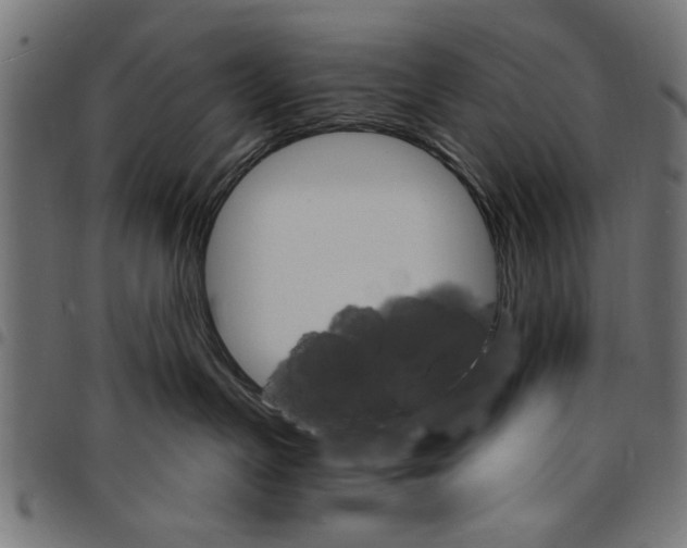 X0000097670191200803281021