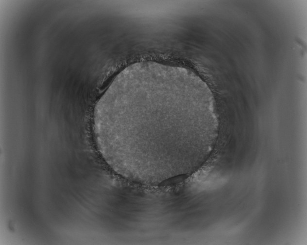 X0000097670192200803281021