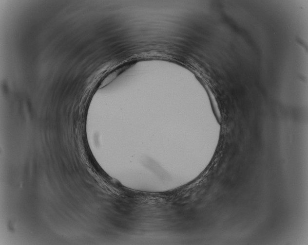 X0000097670193200803281020