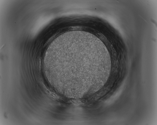 X0000097670194200803281020