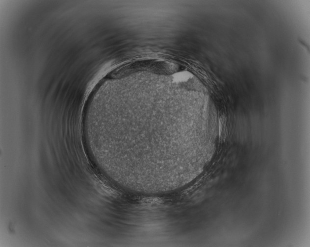 X0000097670195200803281020