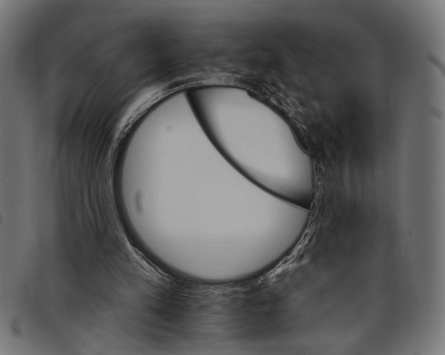 X0000097670197200803281020