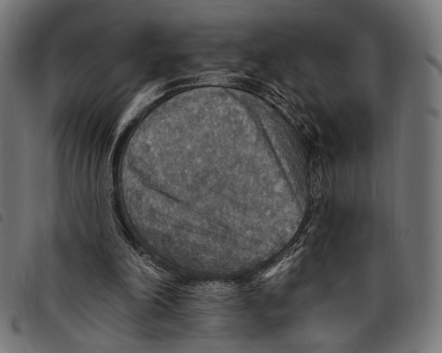 X0000097670198200803281020