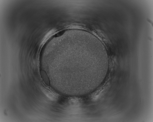 X0000097670199200803281020