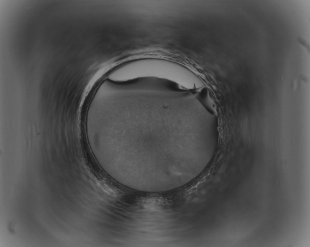 X0000097670200200803281020