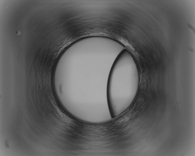 X0000097670201200803281020