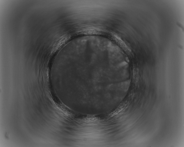 X0000097670202200803281020