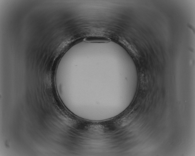 X0000097670203200803281020