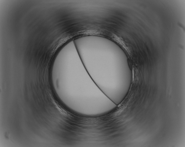 X0000097670205200803281020