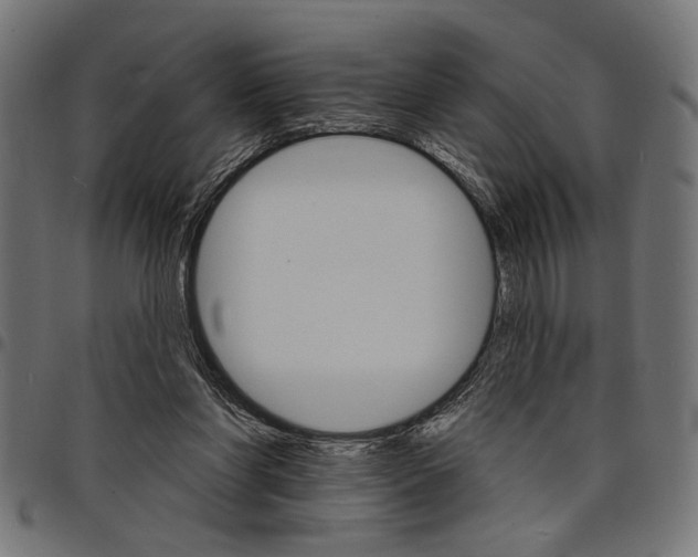 X0000097670206200803281020