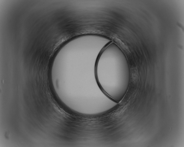 X0000097670207200803281020