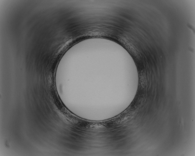X0000097670208200803281020