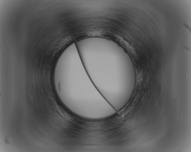 X0000097670209200803281020