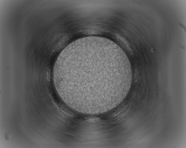 X0000097670210200803281020